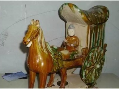 标本艺术品