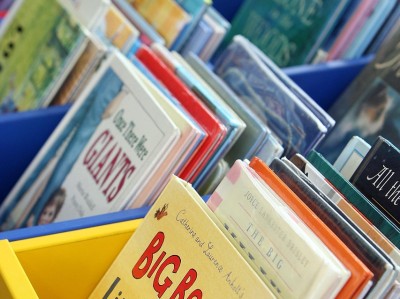探索知识的海洋，小学知识百科全书图片的奇妙之旅