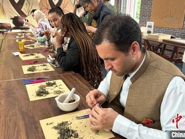 全球连线｜多国留学生体验中国端午民俗