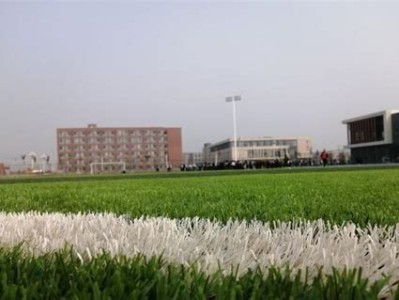 邯郸学院艺术类分数线