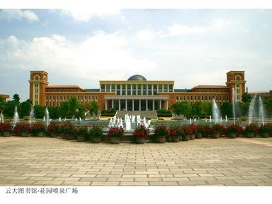 大理大学图书馆成员简介