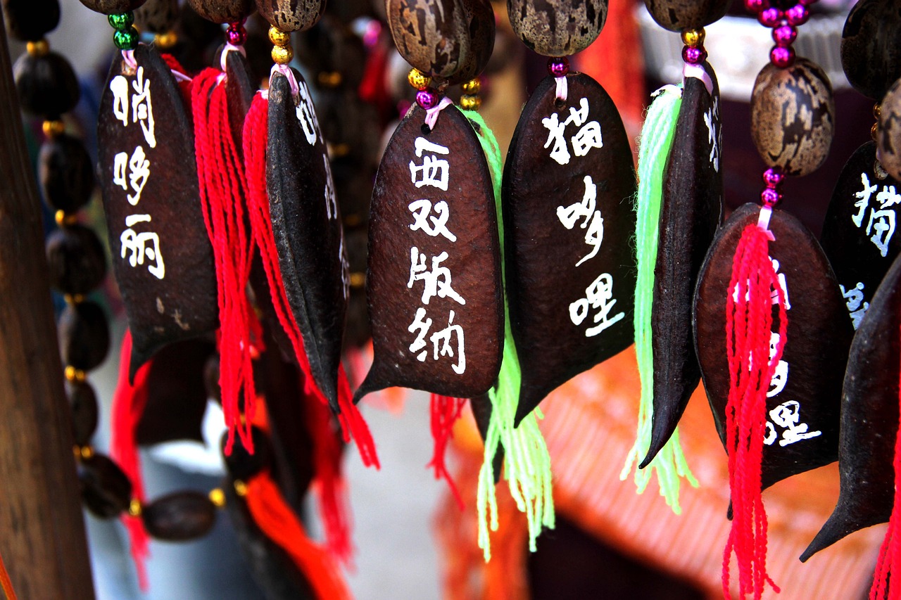 樊振东，冲击金牌的荣耀之旅