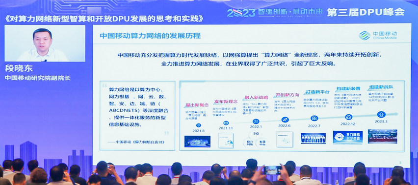 揭秘大连公司代办服务，专业、便捷与风险并存的商业助手