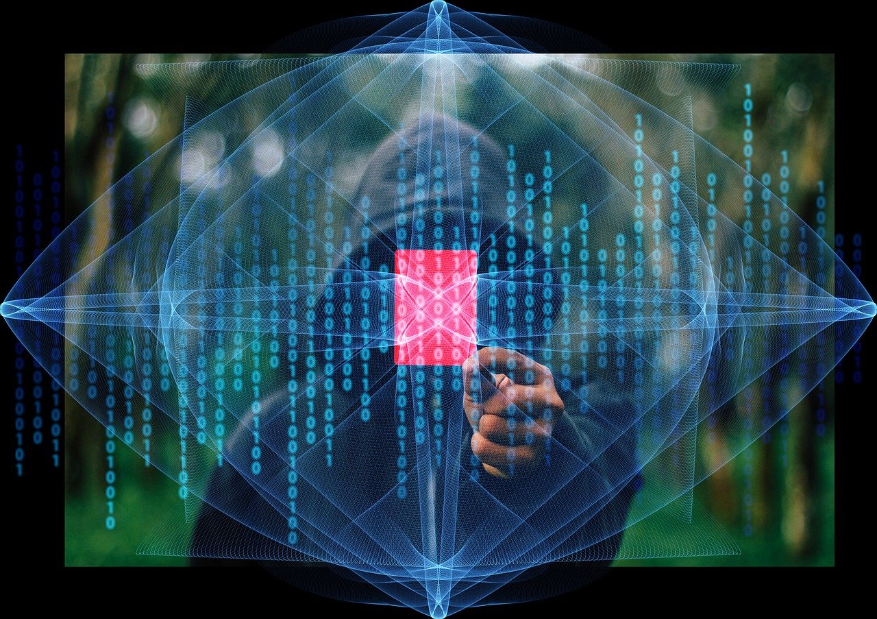 揭秘中国棉花网，引领行业风向标，塑造绿色可持续未来