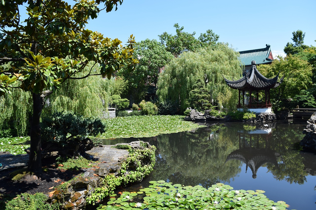 探索布吉阳光花园，绿意盎然的都市田园生活