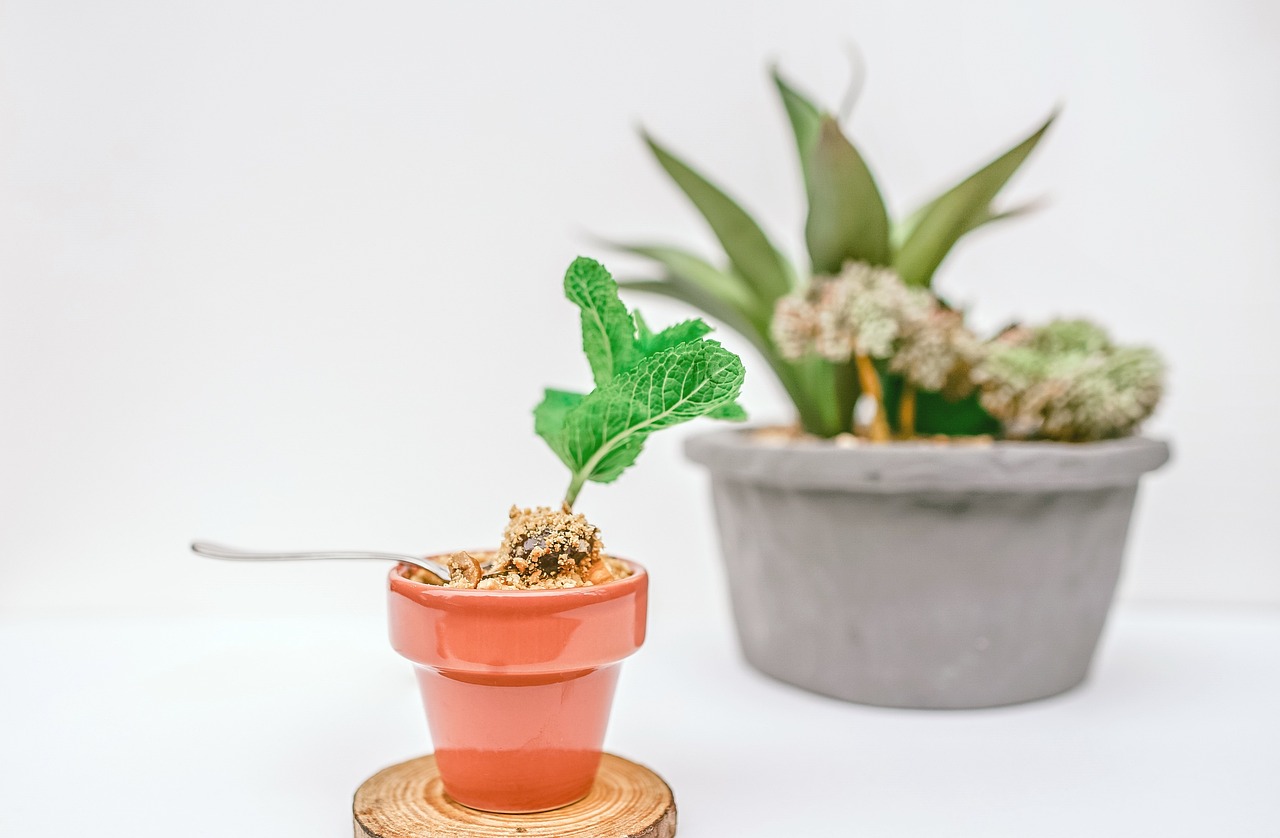 绿色守护者揭秘莲藕世界里的隐形防护服——种植专用防水布