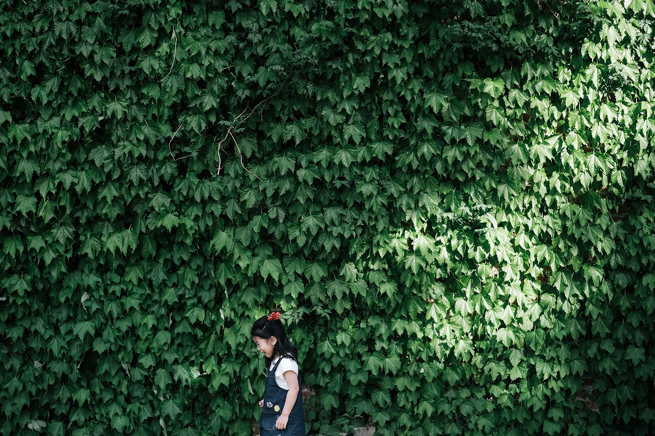 探秘长沙幼苗的乐园，成长的第一站，教育的春天