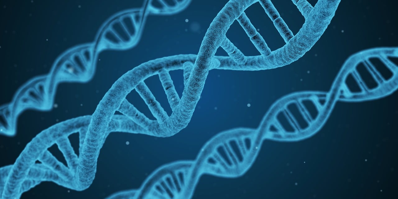 把病床睡塌索赔1800，医疗设施安全不容小觑