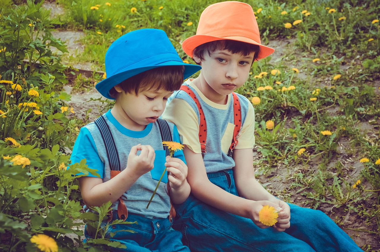 探索幼儿知识百科，开启孩子们的好奇心之门