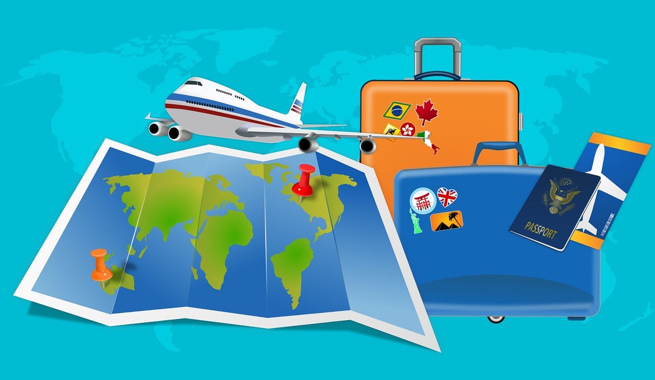 小学生的百科知识之旅，视频播放中的学习与探索