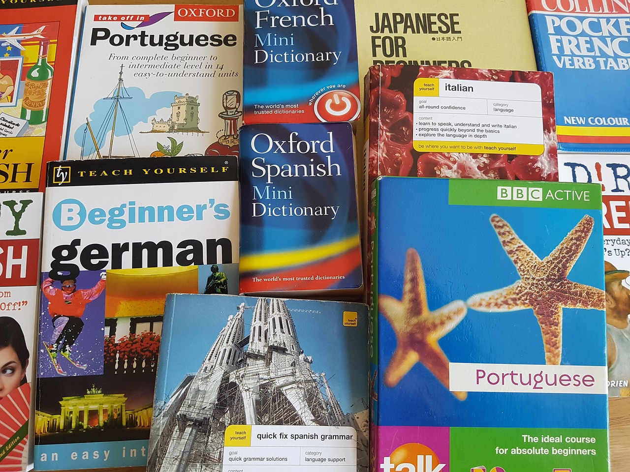 探索知识的海洋，百科全书的奇妙之旅