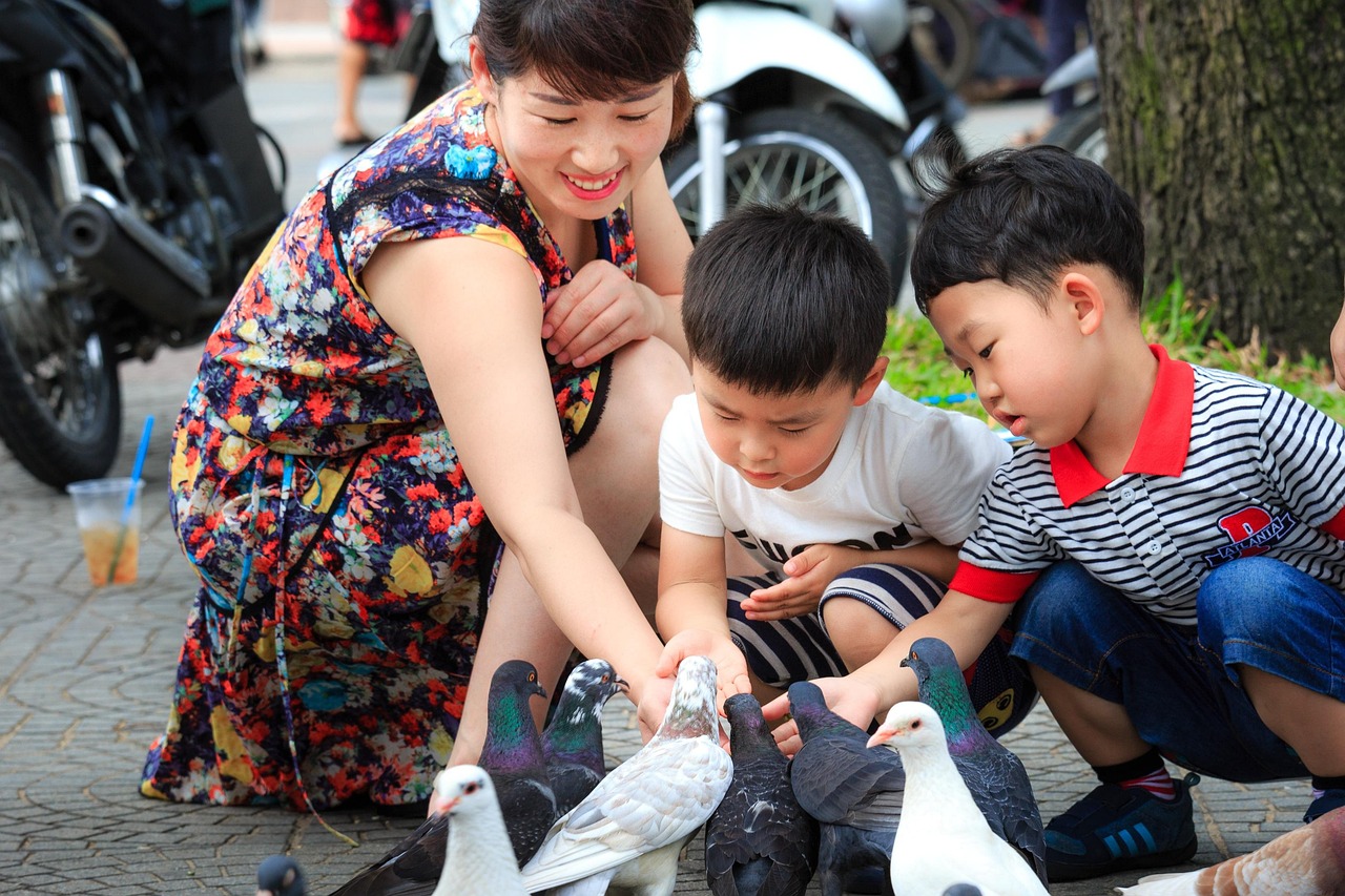 探索幼儿园常识教学，培养孩子们的基础认知与生活技能