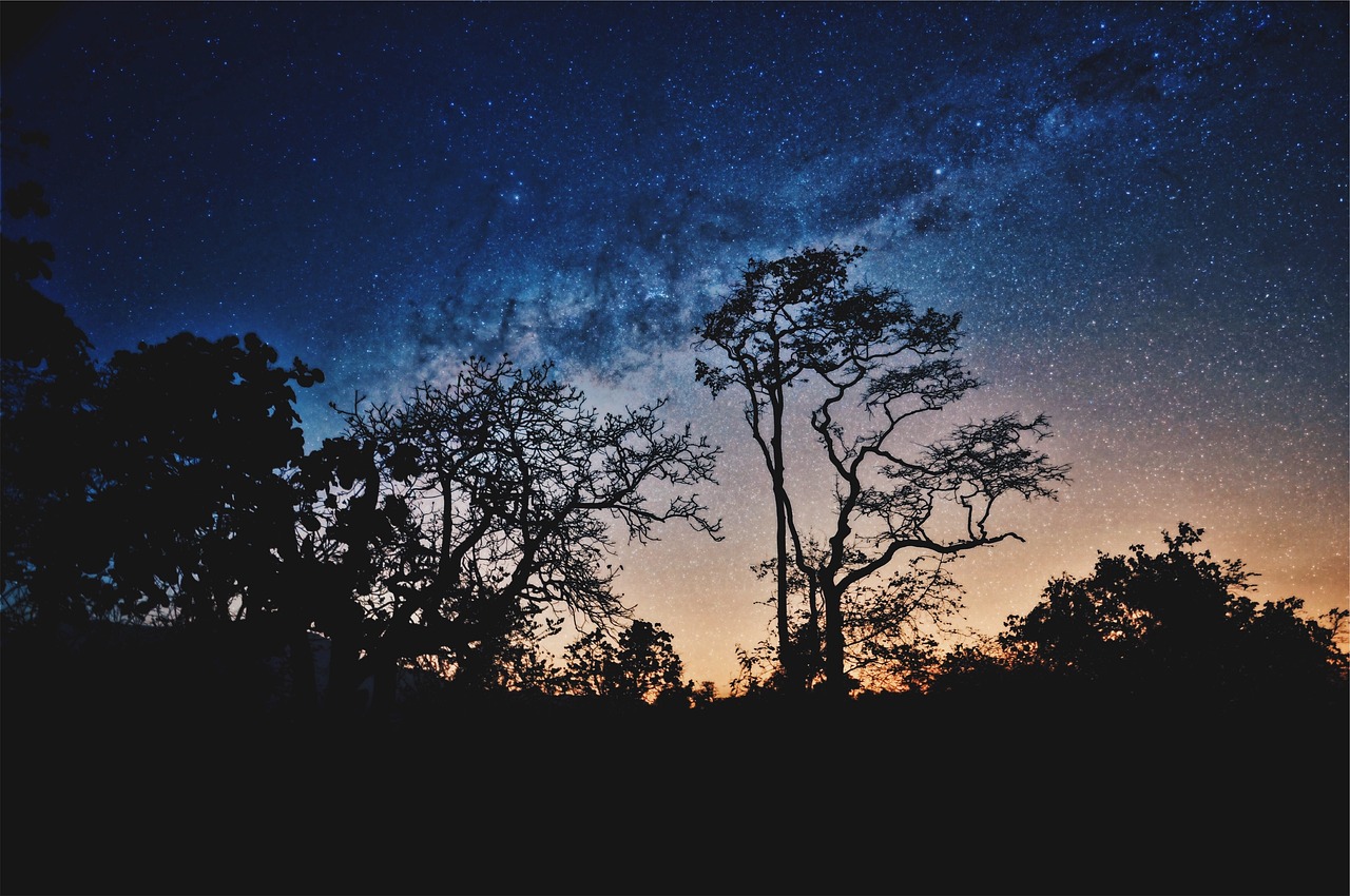 把大明星by你家的白月光，揭秘明星与粉丝之间不为人知的情感纽带